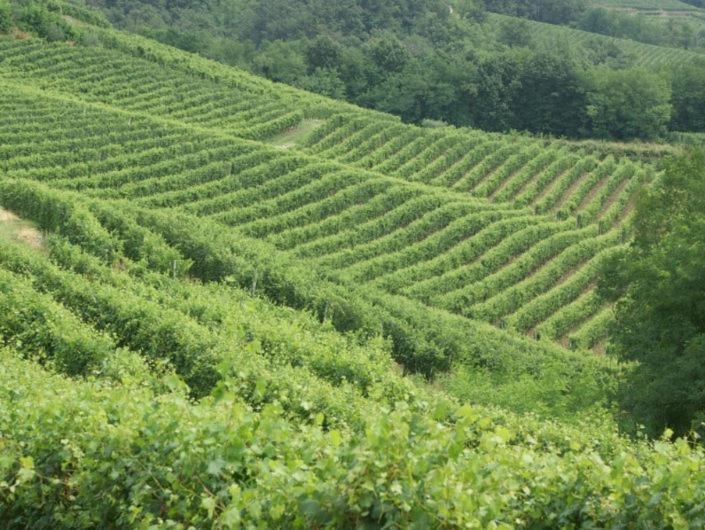 Cascina In Alto Piemonte / Piedmont Countryhouse Lozzolo Dış mekan fotoğraf